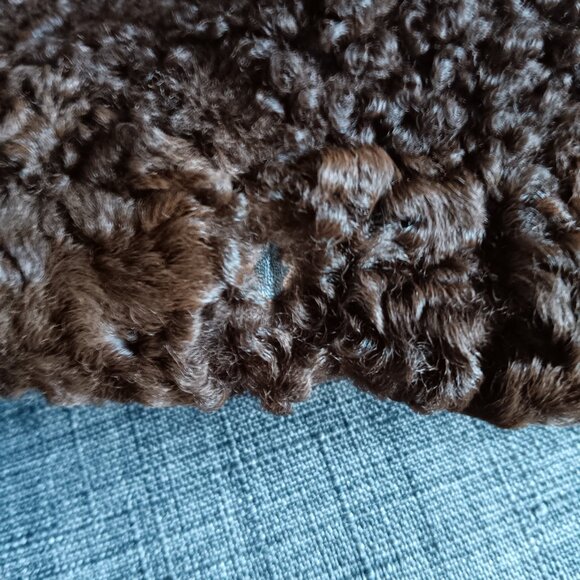 Vintage Dark Brown Persian Lamb Stroller Coat Jacket Fur Collar Faux Pockets 60s - Picture 10 of 16